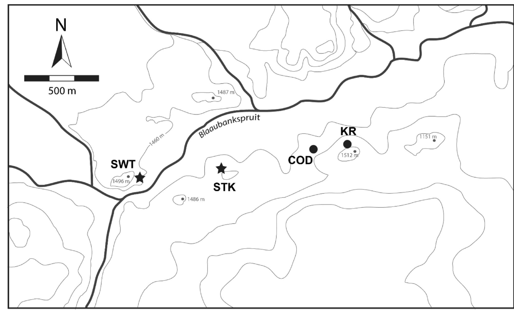 Using this nomenclature, Mason published his analysis of the ESA materials recovered from Sterkfontein in 1962. Using typological frequencies and technological descriptions, he attributed the Sterkfontein assemblage to the early Chelles- Acheul industry based on comparisons to Klipplaatdrif collec- tions that were assigned to this phase of the ESA (Mason 1962b). Mason noted that locally-available raw material types were exploited, including quartzite (57%), quartz (38.4%), chert (2.5%), and diabase (2.1%). Abraded surfaces on some of these artefacts and probable manuports, clearly rounded by fluvial  FIG. 4. Topographic map of the Sterkfontein Valley showing the relative proximity of Sterkfontein (STK) and Swartkrans (SWT) caves to the Blaaubank Riv (COD = Cooper’s Cave D; KR = Kromdraai).  By 1958, Robinson’s continued excavation near the West Pit had reached 40 m’ and ~5 min depth, yielding valuable infor- mation about the stratigraphic relationships of the deposits and enlarging the artefact sample (Robinson 1962). Through 
