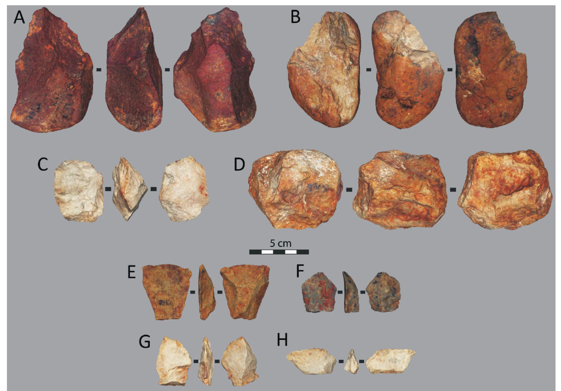 FIG. 5. 3D scans of cores and flakes from Sterkfontein Member 5 (Oldowan Infill). Cores: (A) Protobiface; (B) bipolar; (C) bifacial; (D) polyhedral; (E-H) = com- plete flakes. 