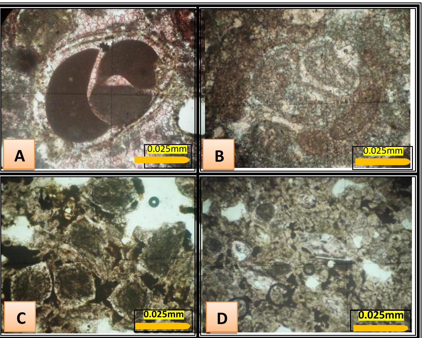 Fatha Rind - isopach-facies map of fatha formation (lower fars) showing