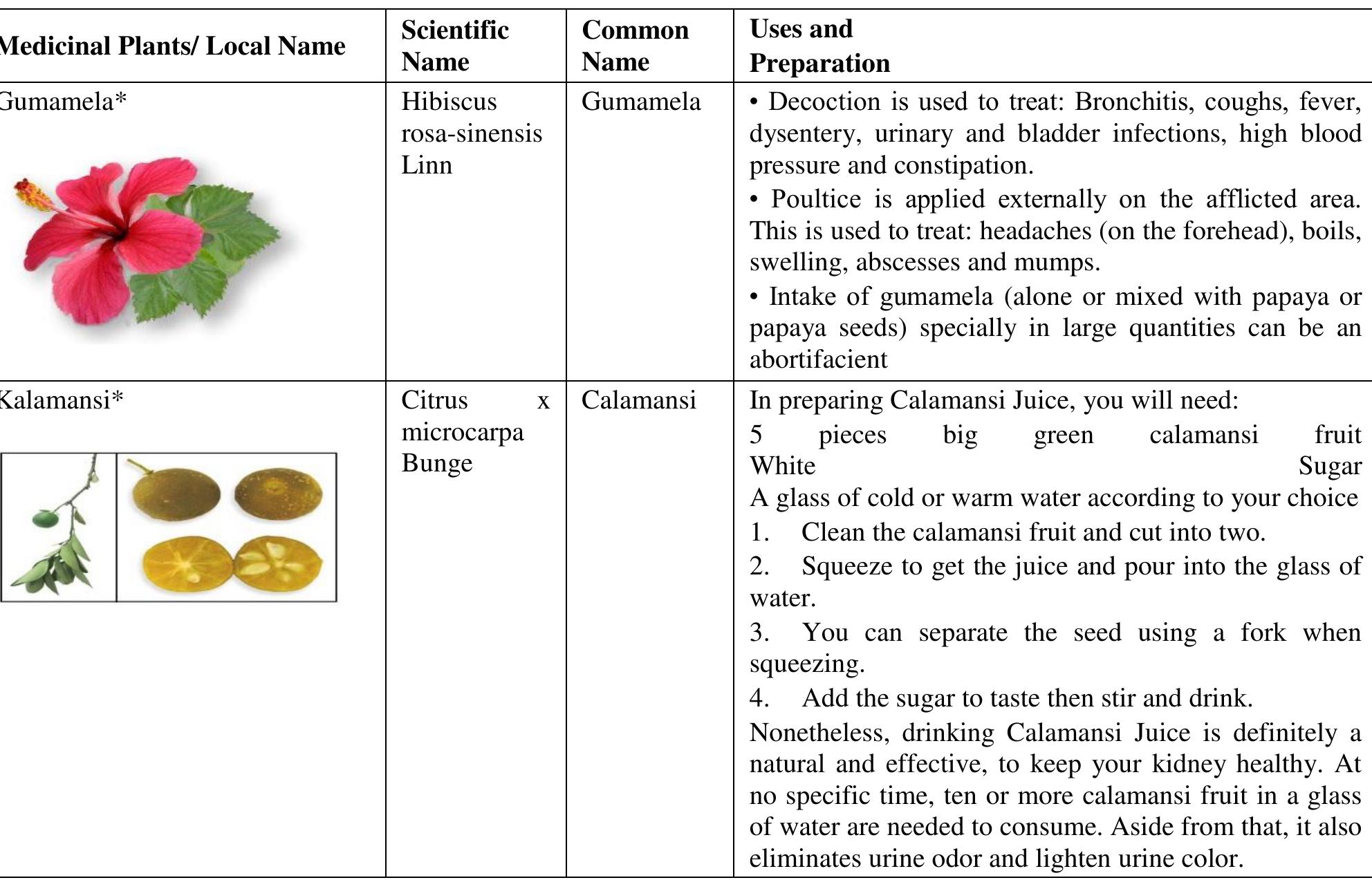 How flowers maintain water balance across different angiosperm branches, image size:1984x1286