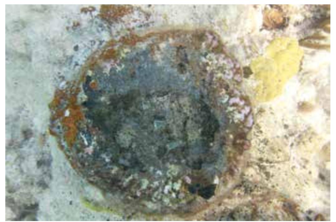 Sailboats, steamers and modern freighters of different nationalities have crossed the current Mexican Caribbean for purposes of exploration and colonization of territories; exploitation of resources and commercial activities mainly. Several of them, during their courses to Central, South or North America, suffered accidents due to adverse climatological conditions, human errors or even for premeditated actions. 