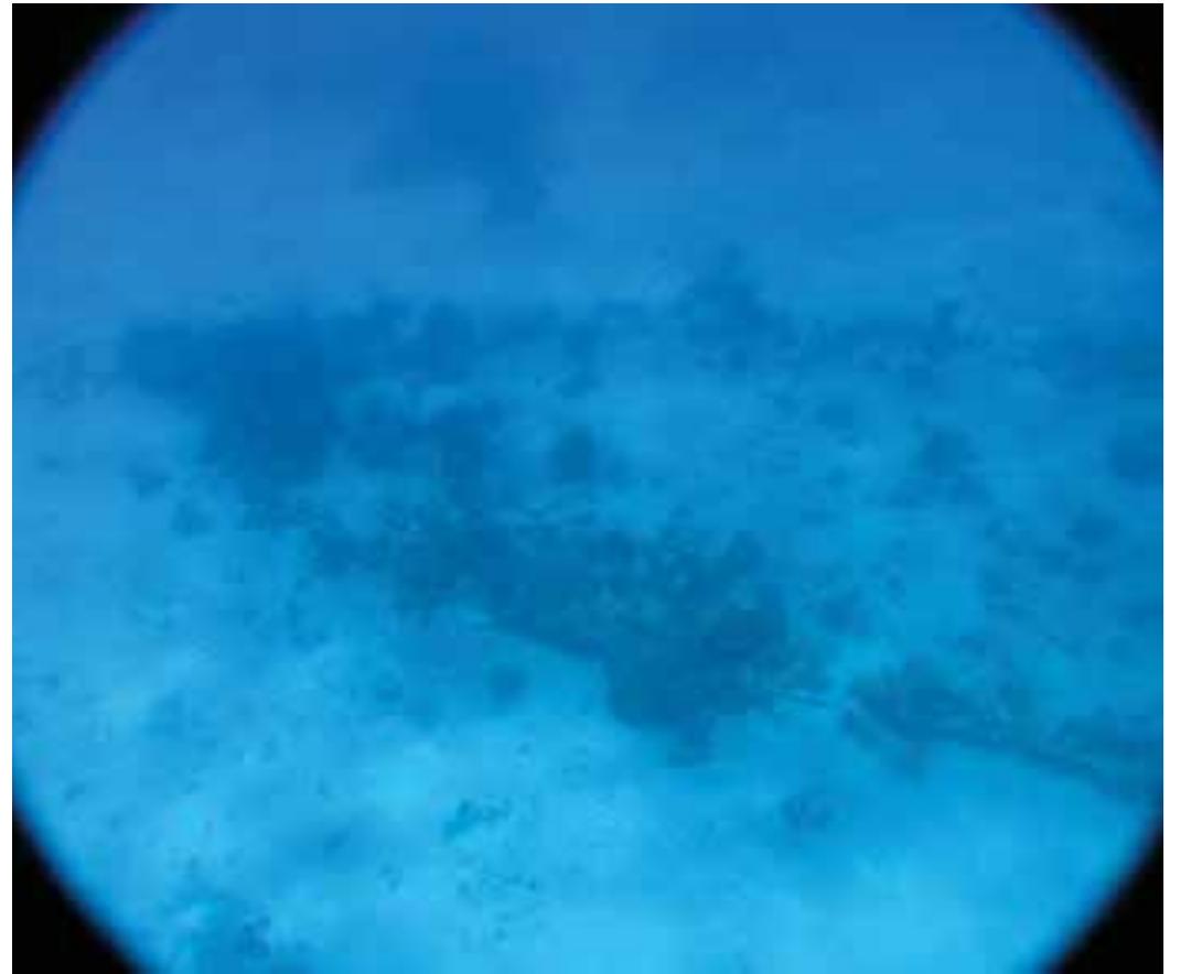 6. Shipwreck EI Angel 2006 / Embarcacion EI Angel 2006. (Photo: E. Acevez)  Within the recorded contexts, 27 are isolated objects,  among which 19 Danforth and Hal shipwrecks sites.  currently studied in whose documenta record; studies on  anchors of the Admiralty, Trotman, types stand out; the other 42 are From these contexts two wrecks are more detail: 40 Cafiones and El Angel, ion work include their archaeological corrosion, associated flora and fauna  and the physical-c finally, the samplin  hemical parameters of the water; and g of selected materials as referents of  temporalities and possible cultural affiliations. 