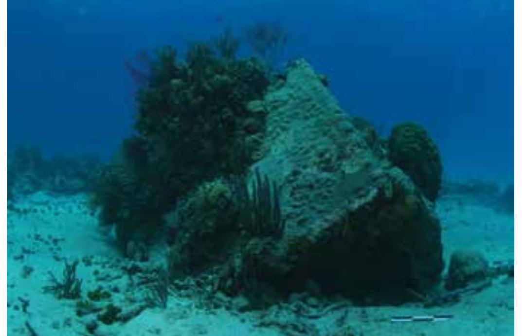 8. Shipwreck EI Angel 2009 / Embarcacion El Angel 2009. (Photo: J. Aviles)  The research work began with the wreck’s site plan. Afterwards, some sections of what is still preserved from the lower section of the wooden hull were released and documented. Samples of wood and pottery were taken; foundry marks were identified in the trunnions of two cannons that, according to the analysis of Dr. Ruth Brown, 