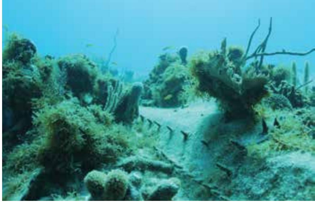 9. Shipwreck El Angel 2010 / Embarcacion El Angel 2010. (Photo: C. Castillo) 