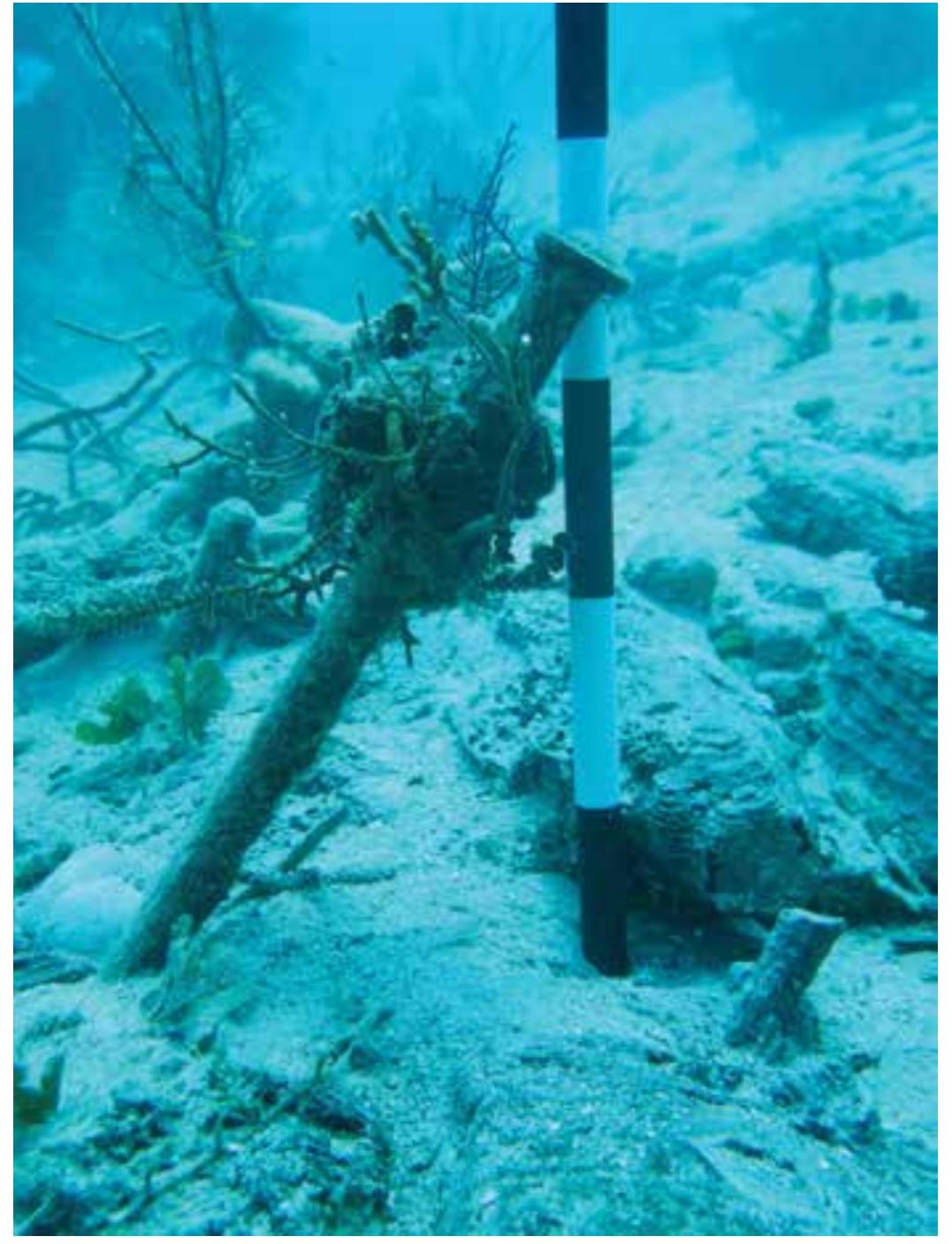 11. Shipwreck El Angel 2017 / Embarcacion El Angel 2017. (Photo: C. Castillo) 