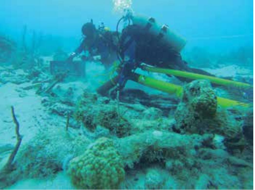 13. Shipwreck EI Angel 2017 / Embarcacion El Ange! 2017. (Photo: C. Castillo)  dyewood (cargo), some bricks, two iron tanks possibly for storage, as well as reinforcements (placed to give support and strength to the cross-sections of main components) and iron rigs and chainplates scattered throughout the context, among other isolated iron elements that have not been identified because of the calcareous concretions. 