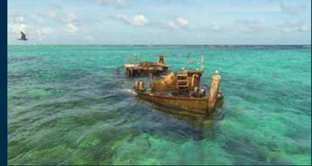 16. Shipwreck Emily Cheramie 2014 / Embarcacion Emily Cheramie 2014. (Photo: C. Castillo) 