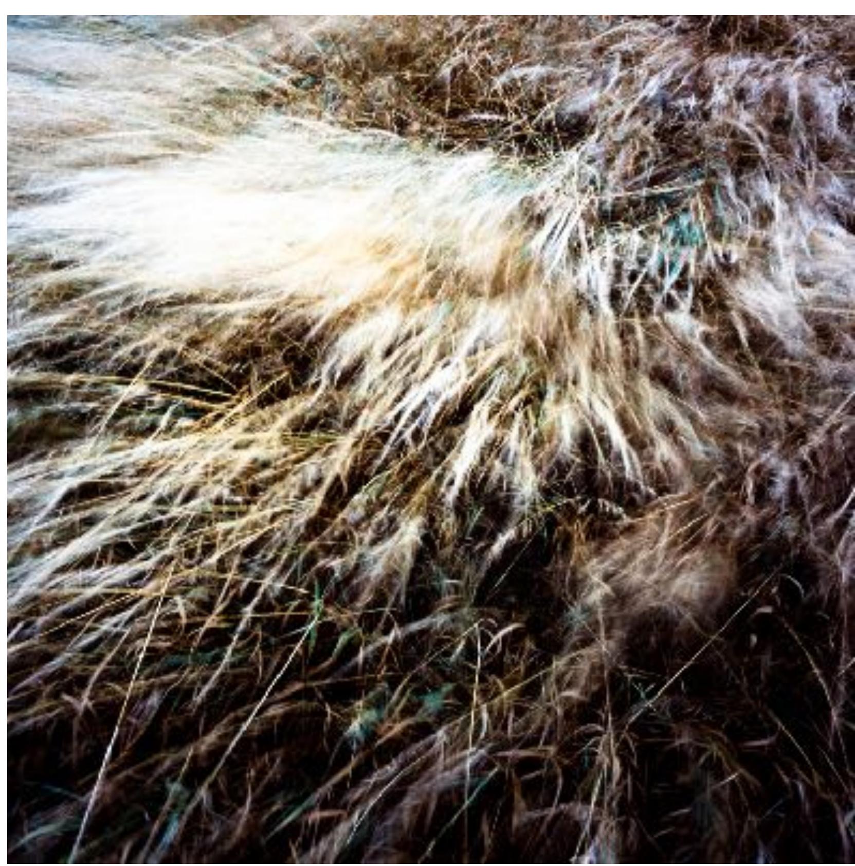 Image 17. Lindisfarne, Northumberland UK, the original Bishop's Palace (site of). On this spot: it happened here. Part of the chorographic series exploring "code" in photowork: genre, convention, schema, formal structures. Tactics: irony, exaggeration, pastiche, transgression.  mage 17. Lindisfarne, Northumberland UK, the original Bishop's Palace (site of). On this spot: it 