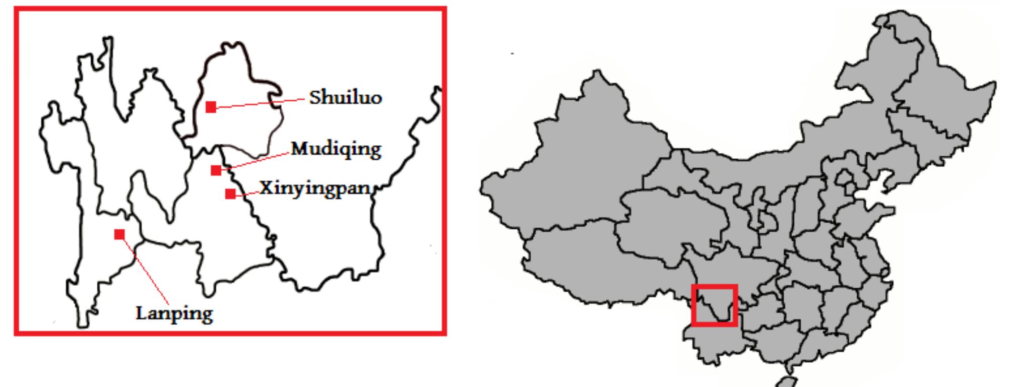 Figure 1: The location of Lanping, Shuiluo, Mudiqing and Xinyingpan Pumi dialects.
 Since the segmental phonology of Shuiluo Pumi differs from all previously described varieties
(including the eight dialects in Lu 2001, among which it is closest to Taoba), I will first present a
basic account of the vocalic and consonantal inventory of this language. The basic syllabic structure
is C(r)(G)V(G), where C, V and G stand for consonant, vowel and glide respectively.

This syllabic structure is simpler than the one found in Lanping of Xinyingpan, as most
