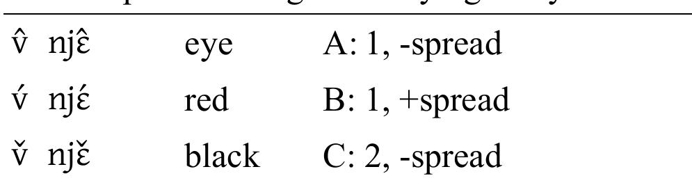 For the time being, I follow Ding's analysis. However, we will see that the analysis of the rising tone
is not straightforward. On disyllabic nouns, four distinct patterns are attested:
 Table 5 ; Tonal categories on monosyllables in Shuiluo Pumi.

