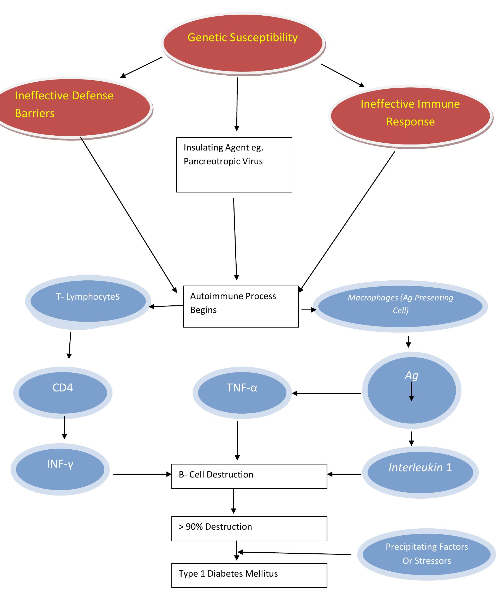 Figure 1 - from The pathogenesis and pathophysiology of type