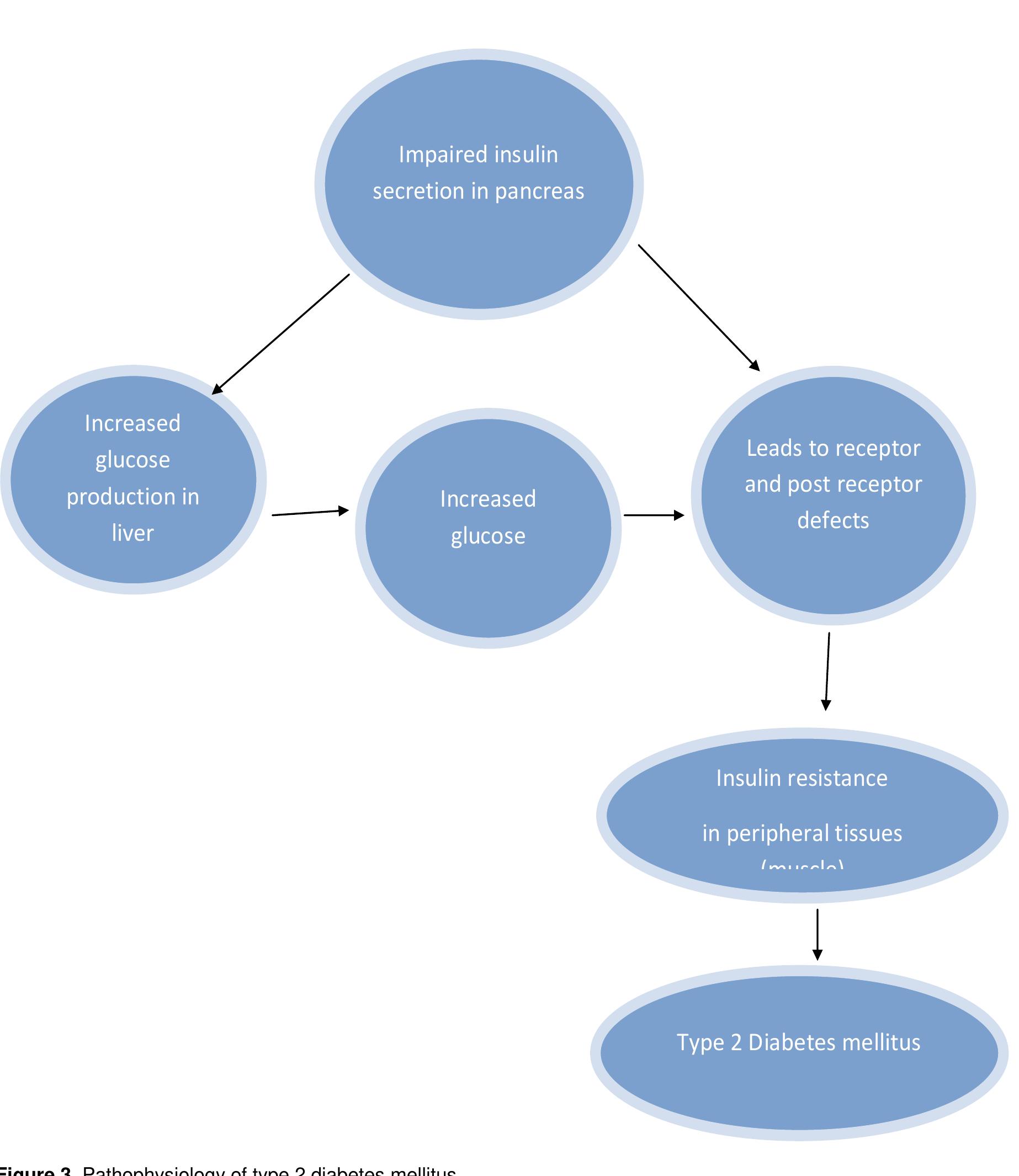 (PDF) The pathogenesis and pathophysiology of type 1 and type 2 ...