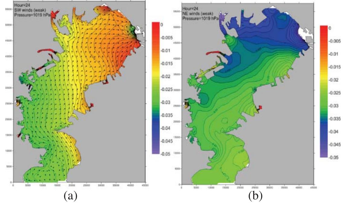 Various tests were applied on the hydrodynamic models to check robustness and tackle a number of problems. A wide spectrum of numerical tools will be used to transfer appropriately the raw data to the  required input format in models H and A. In the following, samples of first results are presented for models H (Figure 3), A (Figure 4a) and B (Figure 4b).  Figure 3 Model H: Spatial distribution of the free surface elevation due to storm surge in Tokyo Bay, 