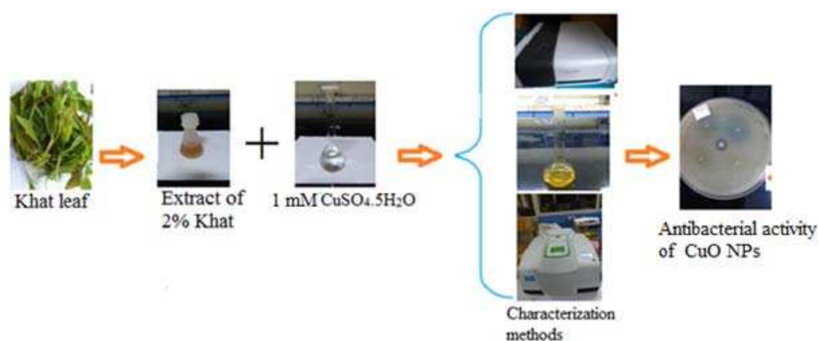 (PDF) Green Synthesis of CuO Nanoparticles Using Leaf Extract of Catha ...