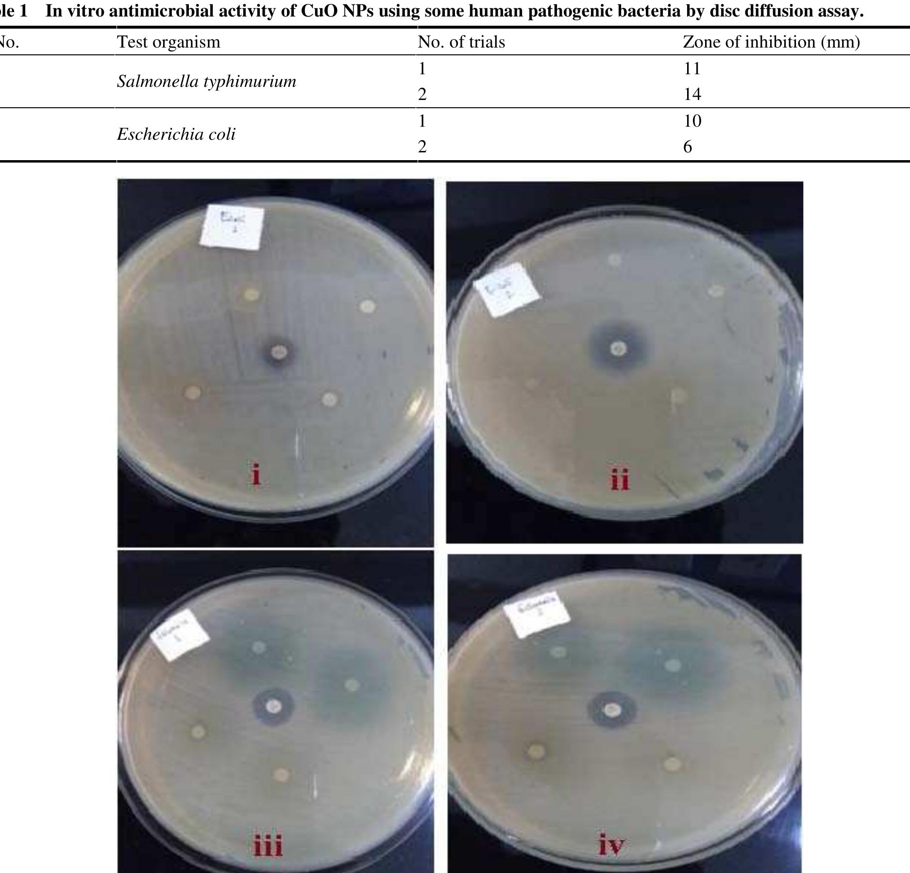 (PDF) Green Synthesis of CuO Nanoparticles Using Leaf Extract of Catha ...