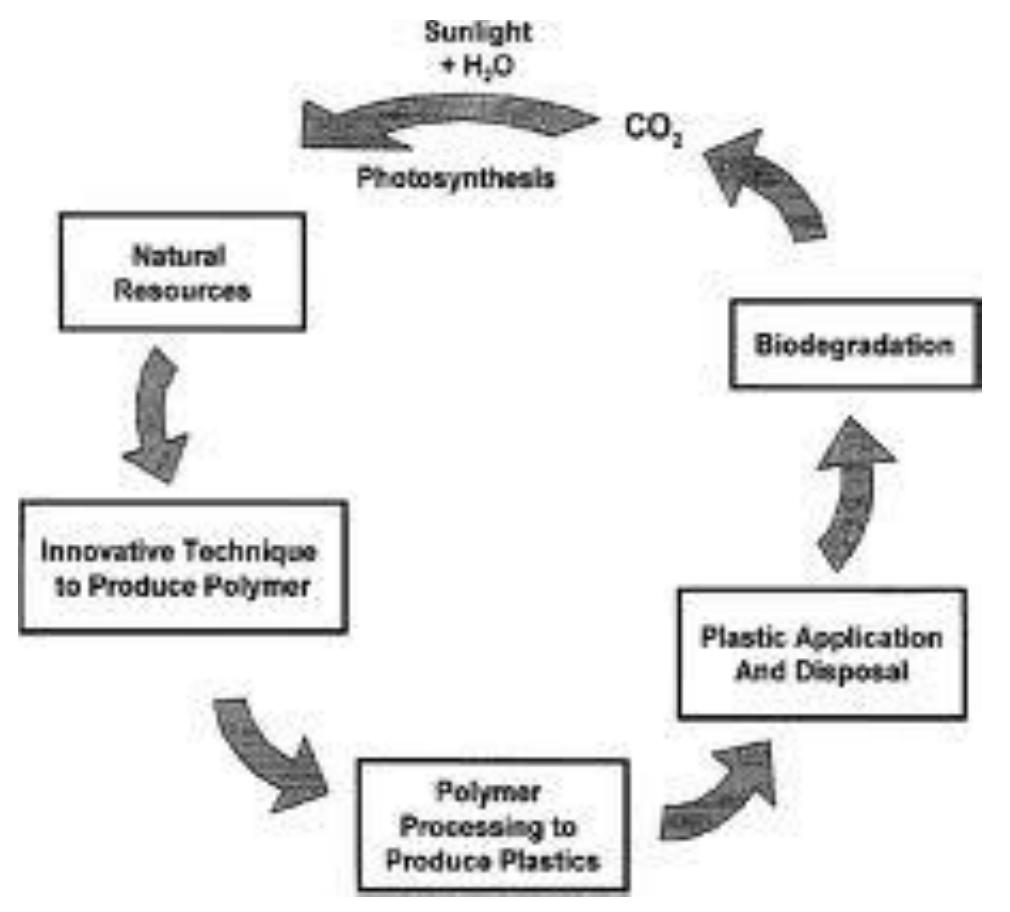 (PDF) Study of Bio-plastics As Green & Sustainable Alternative to Plastics