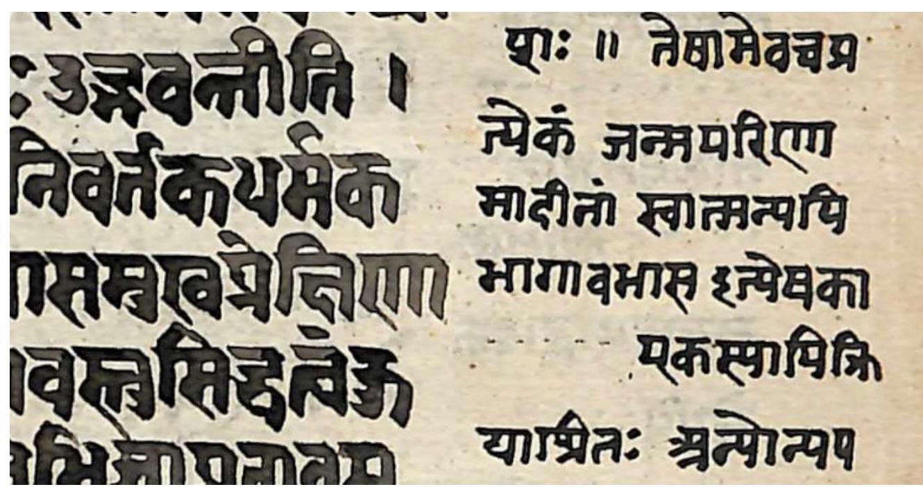 Figure 6b - Ms. J11 (detail of a margin)  Figure 6a - Ms. $12 (detail of a margin)  PNAS, raf oun paperasu sare  eptetetag:  TENET AAW Ty: yarprrmestngnioe ibe Poa ee a ger eheny tafe eer eS “4 eee Sa frgaraae eruwea negeeeh ashe ee TS 12 AIST NNT ATS NON HEAT TETAS? wore hy ree MaSSASETT MRT ANN 