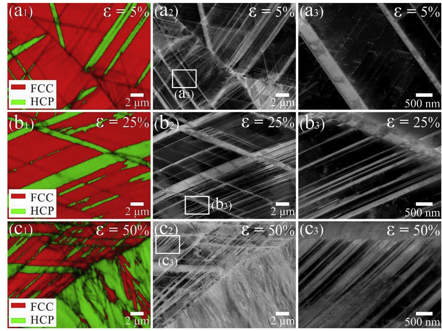 Ebsd maps and ecc images of the cg ihea after (a) 5% strain,