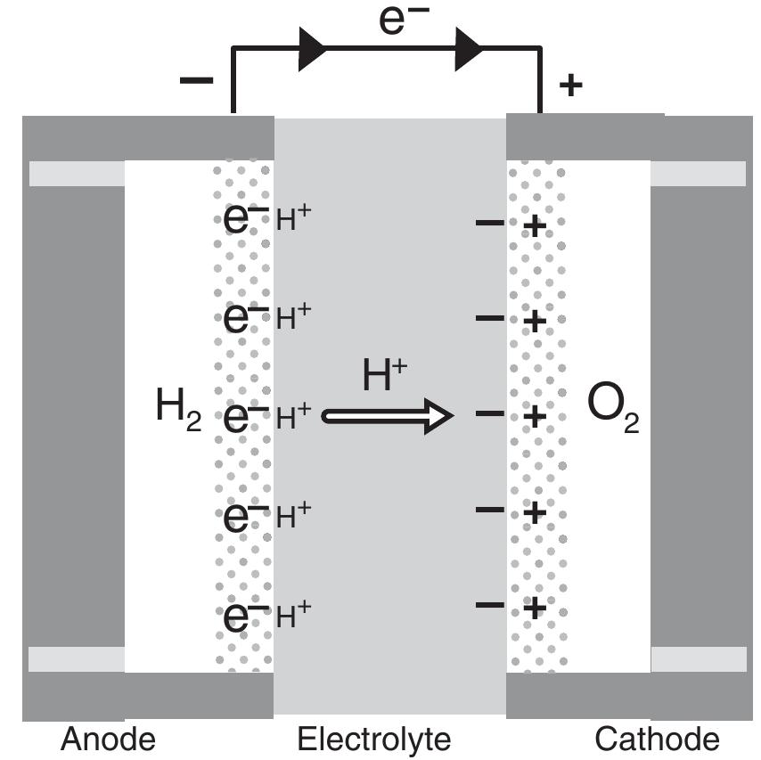 Anode Rxn Example Figure 10 - from FUEL CELL CHARGE TRANSPORT