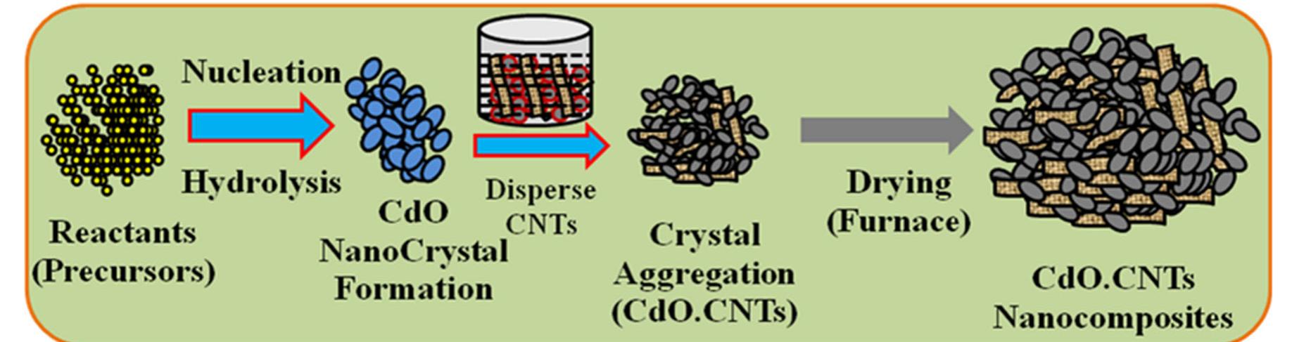 Schematic representation of growth mechanism of cdo.cnt nc