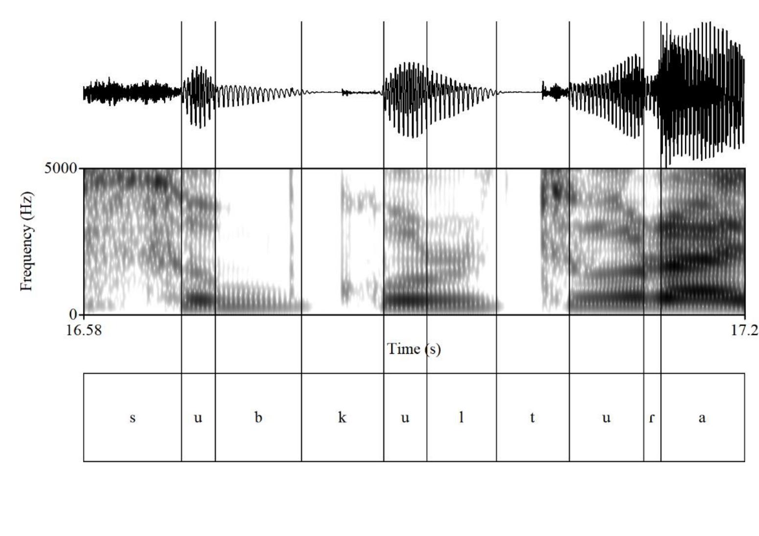 Figure 21 - from How can Italian phonology lack voice