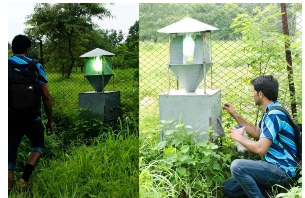 Funnel Beat Insect Sampling Figure 1 - from LIGHT TRAP AND INSECT SAMPLING: AN OVERVIEW