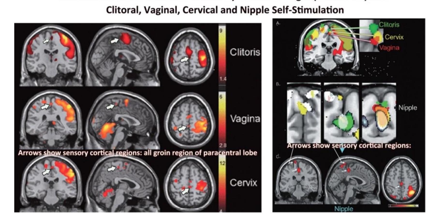Yetuk er-xotin va yosh porno video