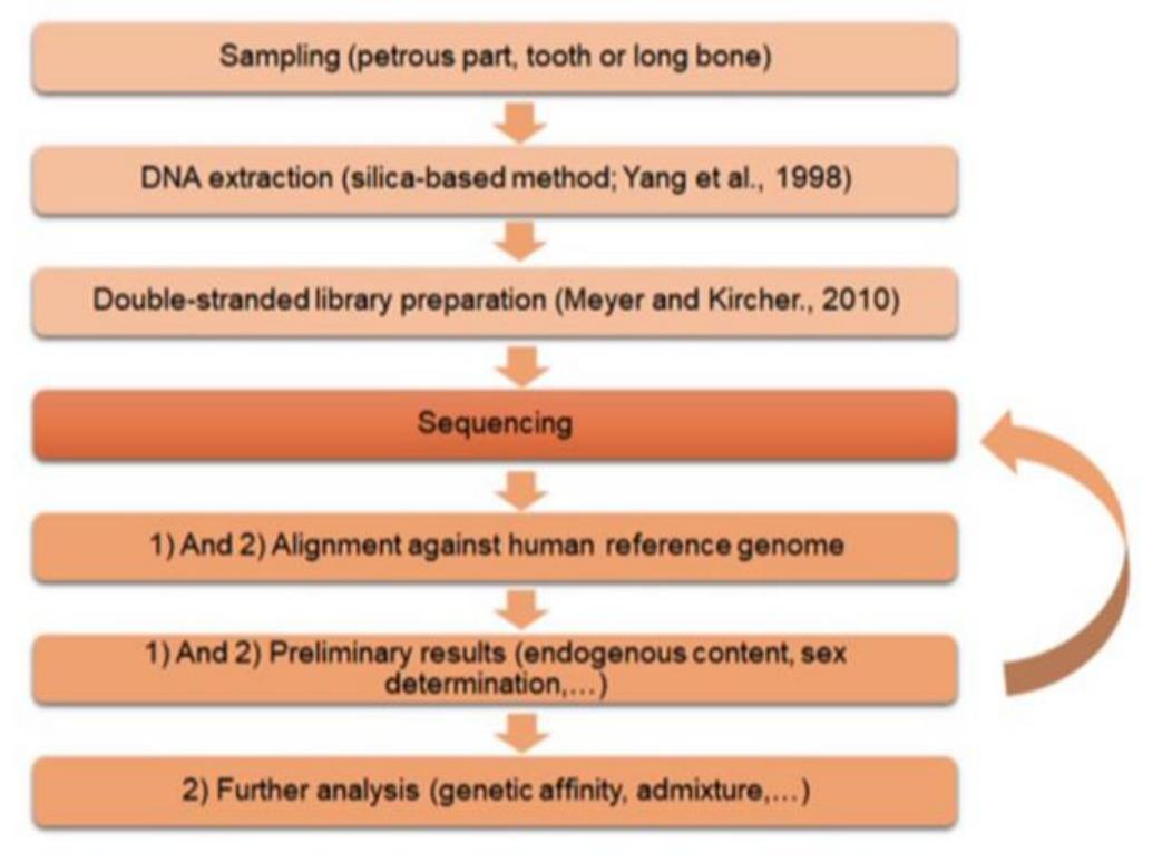Carver — A. Molinari — V. Aniceti — C. Capelli — F. Colangeli — L. Drieu — G. Fiorentino — F. Giovannini - M. Hummer — J. Lundy — A. Meo — £ mnereau — P. Orecchioni — M. Primavera — A. Ughi e SICILY IN TRANSITION — New research on early medieval Sicily, 2017-2018 