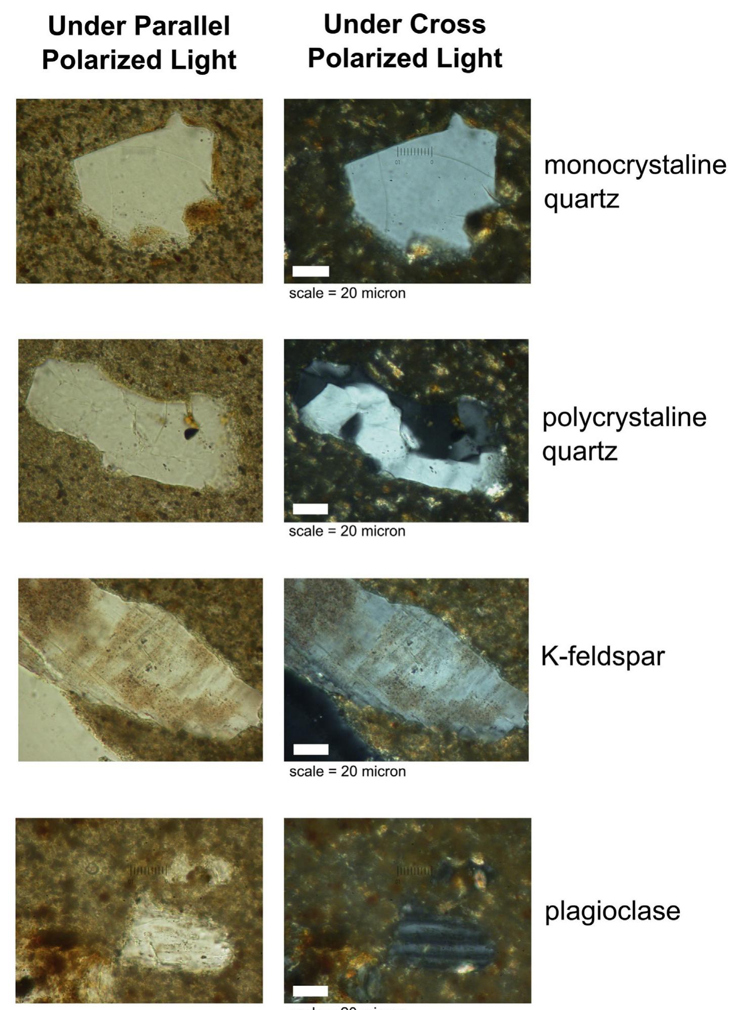 Fig. 4. Detail images of the main mineral components of the clay matrix, as identified in petrographic observation and confirmed in XRD and XRF analyses. Images by R. Piermartiri. 