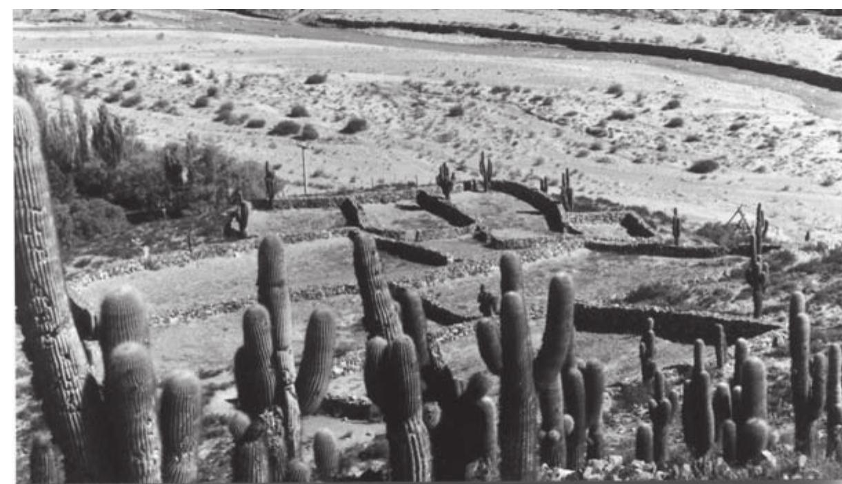 PDF) MANAGEMENT OF ARCHAEOLOGICAL SITES AND THE PUBLIC IN ARGENTINA