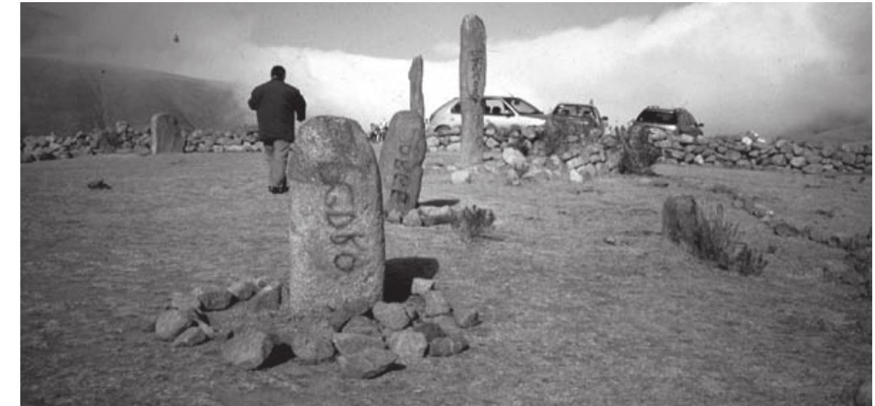 PDF) MANAGEMENT OF ARCHAEOLOGICAL SITES AND THE PUBLIC IN ARGENTINA