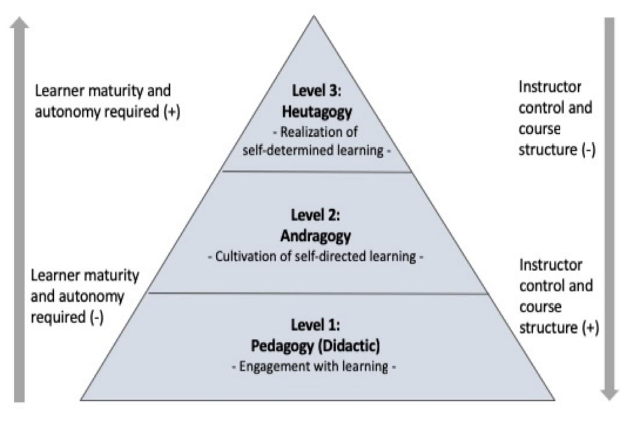 (PDF) Heutagogy and digital media networks: Setting students on the ...
