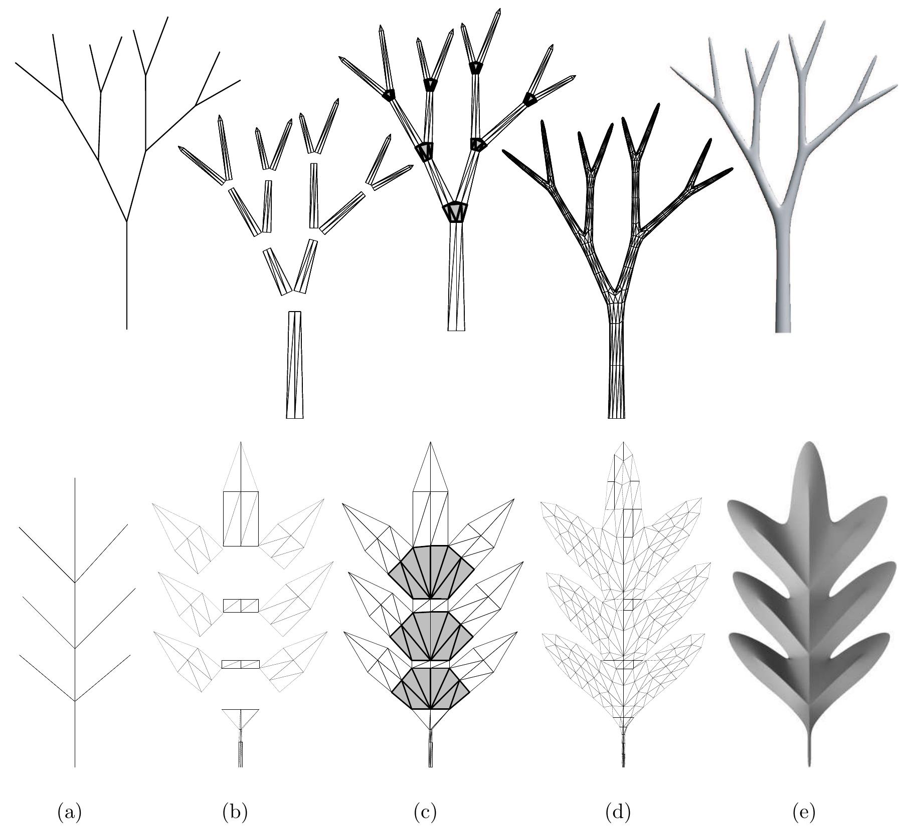 7: lateral branching. top row: square cross-section; bottom