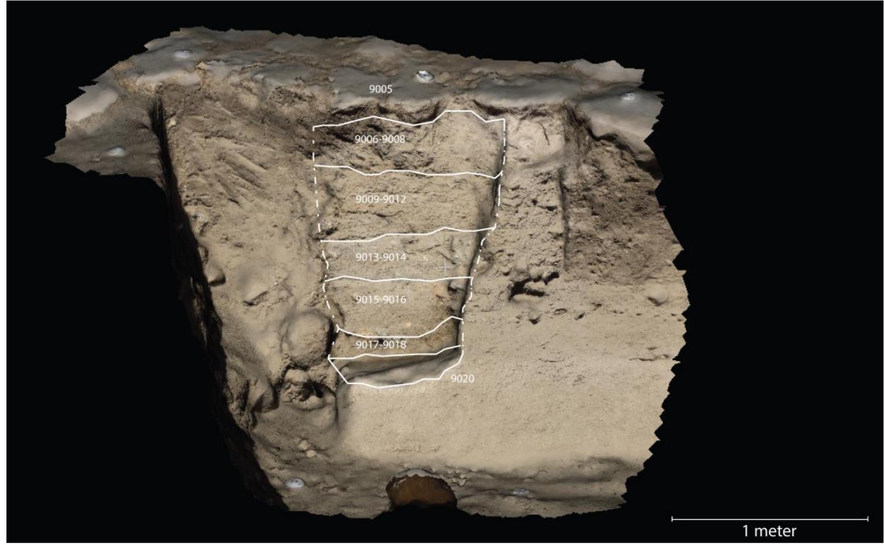 Fig. 3. Schematic cross-section of the sondage excavated in AREA J on the N side of the late ditch cutting the VIA GA- BINA, showing the sequence of glareates on top of the original tagliata of the main thoroughfare (GPR; Author: M. Naglak). Created utilizing a combination of Sf{M photogrammetry and traditional total station survey.  Table 1. Quantification of ceramics (by pottery class and number of fragments) retrieved from the AREA J sondage (Author: M. D’Acri). 