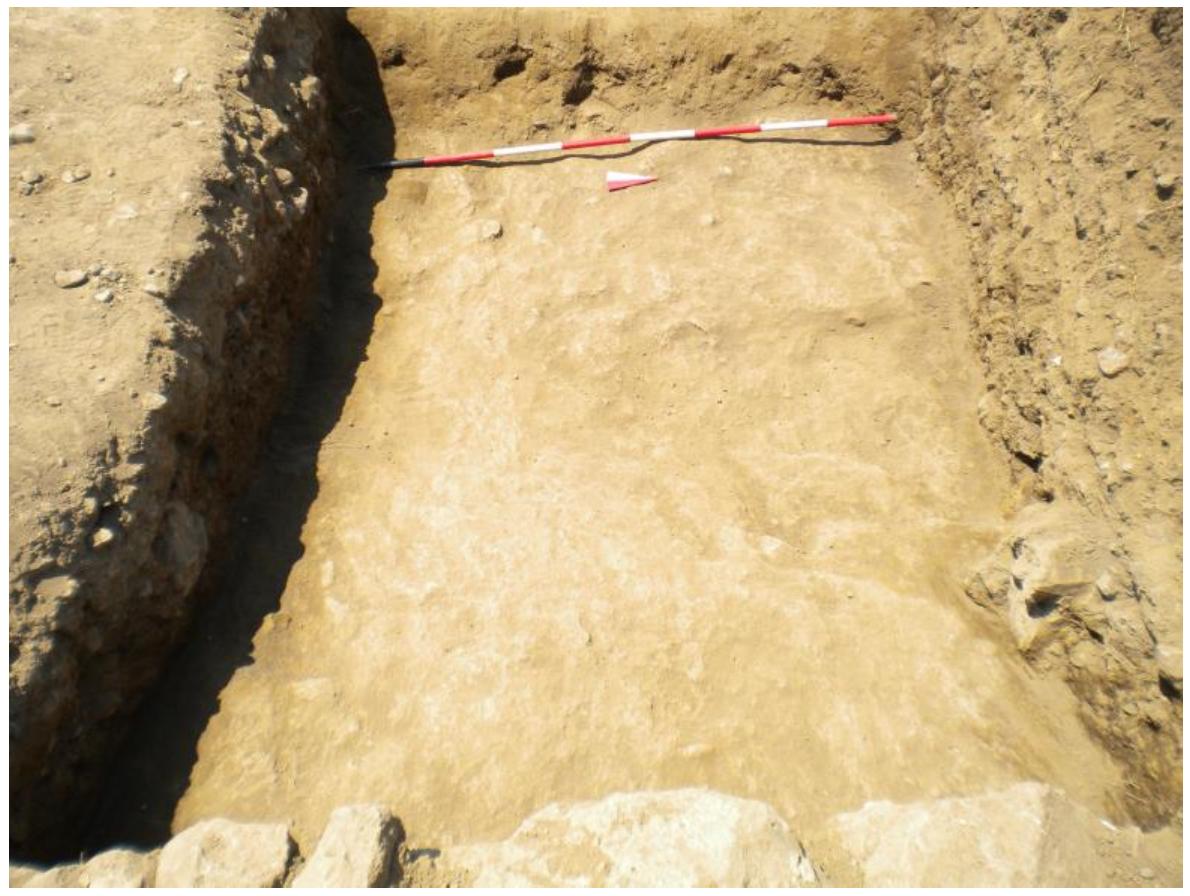 Fig. 7. View of the preparatory tagliata (2138) for ROAD 1, (GPR; Author: A. Johnston).  ROAD 1 