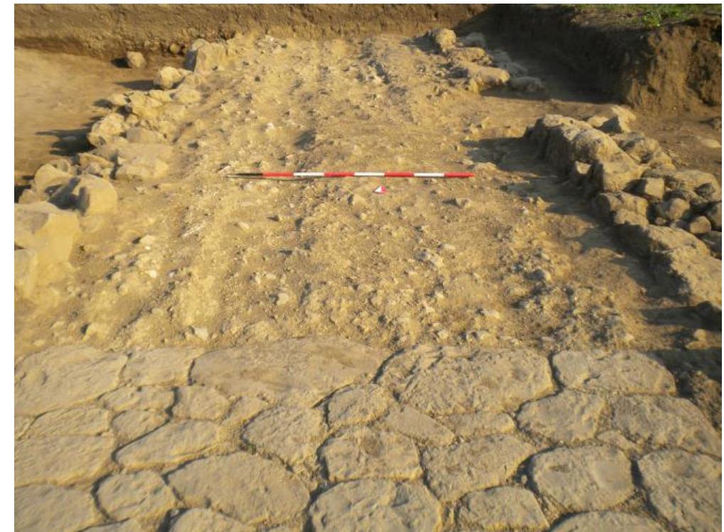 Fig. 11. Segment of basalt pavement of ROAD 13 preserved near the S limit of the AREA C house (GPR; Author: E. Adkins).  Fig. 10. View of basalt pavement (2175) and latest glareate (2093) of ROAD 13 N of the AREA C house (GPR; Author: A. Johnston).  FIg. 1U. VIEW OF Dasall pavement (21 fa) and latest giareatle (2039) of ROAD 13 N of the AREA C house (GPR; Author: A. Johnston).  rig. il. cegment OF Dasail pavement OF NOAD 13 preserved near the S limit of the AREA C house (GPR; Author: E. Adkins).  0.3 m (2093; Road 13; cf. Table 6, Pl. | nn. 3-6); in this phase, the road was furnished with retaining walls built of unmortared and roughly worked stones along most of its length, preserved for 0.5 m in height and 0.75 m in width (E wall 2080, W wall 2081). Either as part of this renovation or not long thereafter, the stretch of the road along the frontage of the atrium-style house that came to occupy this area of the city block was improved and  resurfaced in worked basal terminous wit glareate indic ther evidence glareate and  domus, a semi-enc although the pavement is incompletely preserved at its western limit due  a different construction technique consisting of a pavement o h the property boundary of the domus, the flush interface where i ates that the two different surfaces were in use contemporaneous d by the presence of a continuous drainage channel or gutter along the eastern limi he basalt roads. Along the frontage of this northernmost section o  osed transitional space paved in a similar basalt technique opened directly off 0 post-abandonment spo  y, a regular,  Ath c. BCE). |  while the two surfaces were in phase with and connected to one ano pavement: 2023; spoliation cut: 2044; 2122, covered by the pavement, contains no material la  inear interface is clearly discernible between this space and the roadway proper, sug  medium-sized, closely-fitted, stones (2175; fig. 10)?3. At the N limit of the stretch of basalt roadway, which was apparently co- abuts the latest phase of the y; this contemporaneity is fur-  of both the  the property belonging to the  of the road; iation activi- gesting that,  her, they were distinct constructions  ert mmediately to the S, the road, along with its retaining walls and a wide swath of t  he W; some distance beyond where the road resumes on fig. Is built in large ashlar tufo blocks (W wall 4011; E wall 401  course of the roadway aligns with one of the adjacent ash  he interior of t house, has been partly obliterated by the same extensive late antique negative feature that also interrupts t Via Gabina, Road 2, and Road 3 tot his truncation, near the S limit of the domus, another segment of basalt pavement of Road 13 preserved between two retaining wal built in different technique 4037)?*. 1 eastward from the otherwise straight ing to the domus, another indication  he o  3, wi [he unusual angle at which the W edge of this basalt paveme ar walls belong hat, as with the paved transitional space to the north, the basal  han the mid- he  her side 1; 4010) is h segmen nt deviates  1  pavemen  of this stretch of the road and some of the features of the house were designed in conjunction with one another.  The archaeological evidence  hus points to a close connection between the occupation of  he Area C  domus — the life of which spanned from the middle of the 3 to the beginning of the 1stcentury BCE — and the basalt pavement of the adjacent road onto which it fronted. Shortly after the abandonment of the domus toward the middle of the 1S' century BCE, the road itself fell into disuse; by the early imperial period, it must have al-  raAanhs) ARannma imnnacanhla pnvtnancivals annlintan and nnvonran Avy 45 layvar anf riihhla and dohric (9NTKR_9Nn@e9\ 