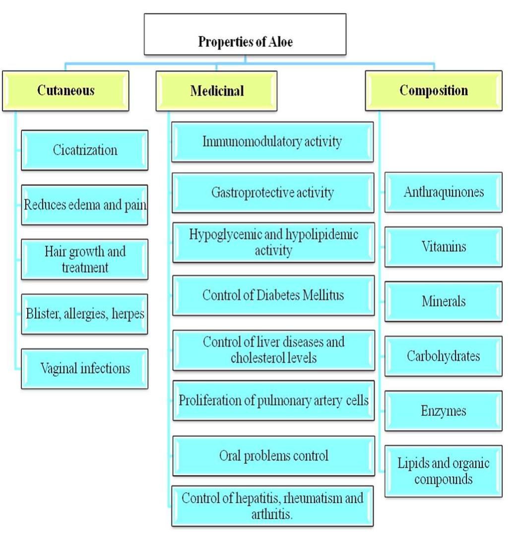 Figure 4 - from Importance and Properties of Aloe Vera In