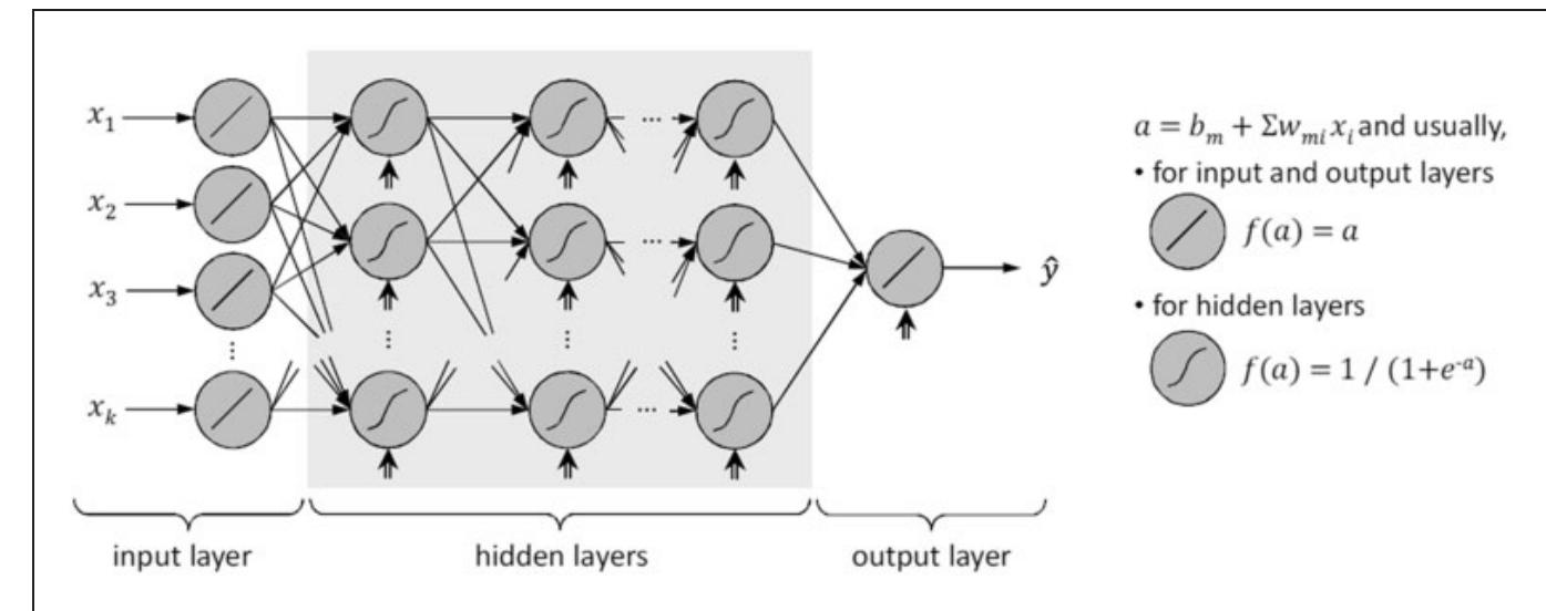 Figure 7. Schematic illustration of MLPNN architecture.”° 