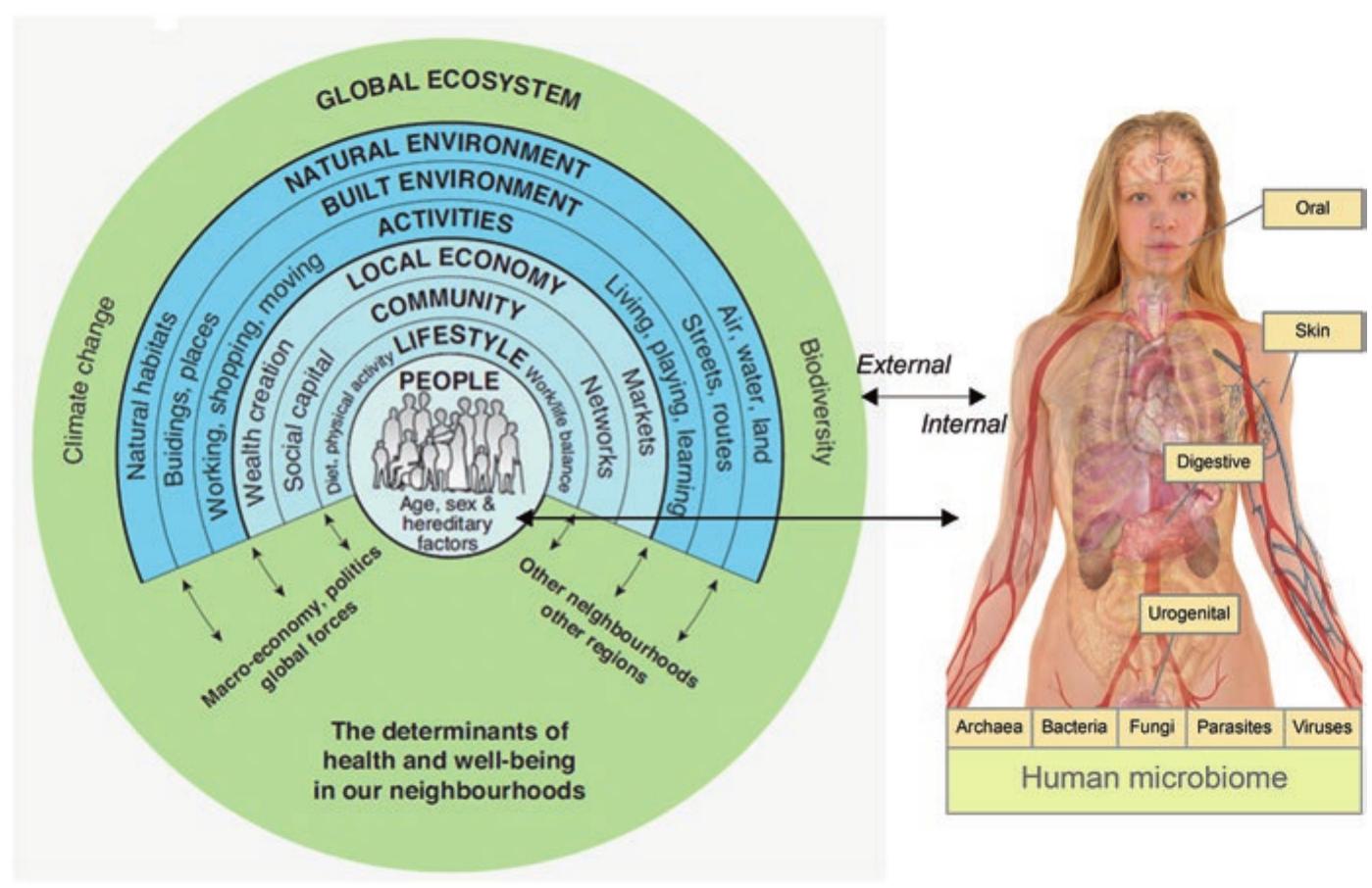 (PDF) Biodiversity and Health in the Face of Climate Change
