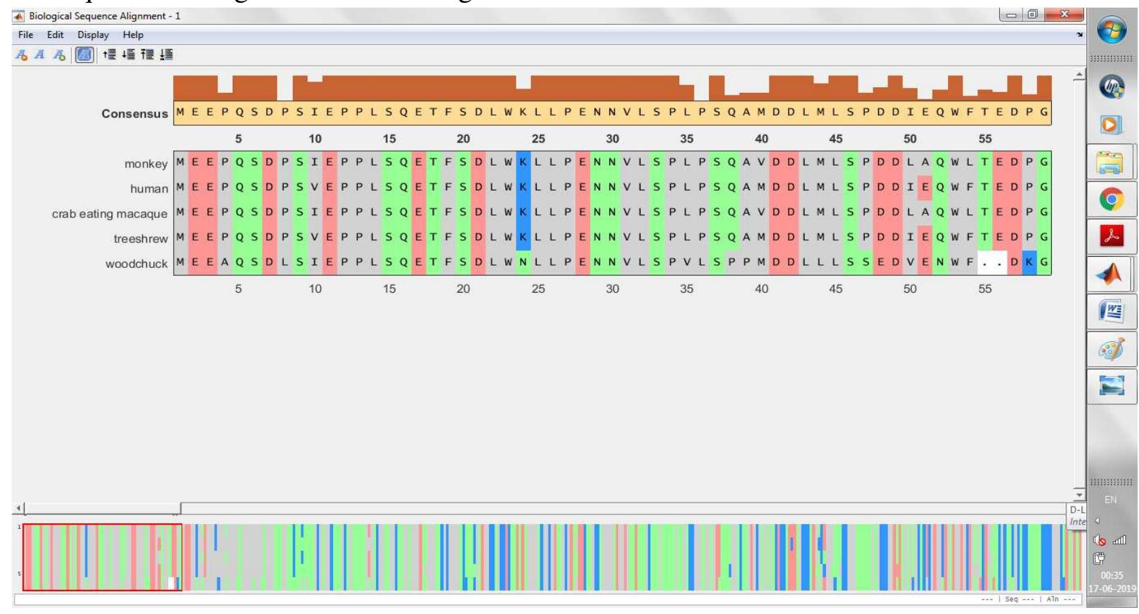 (PDF) Multiple Sequence Alignment Based Method for Construction of ...