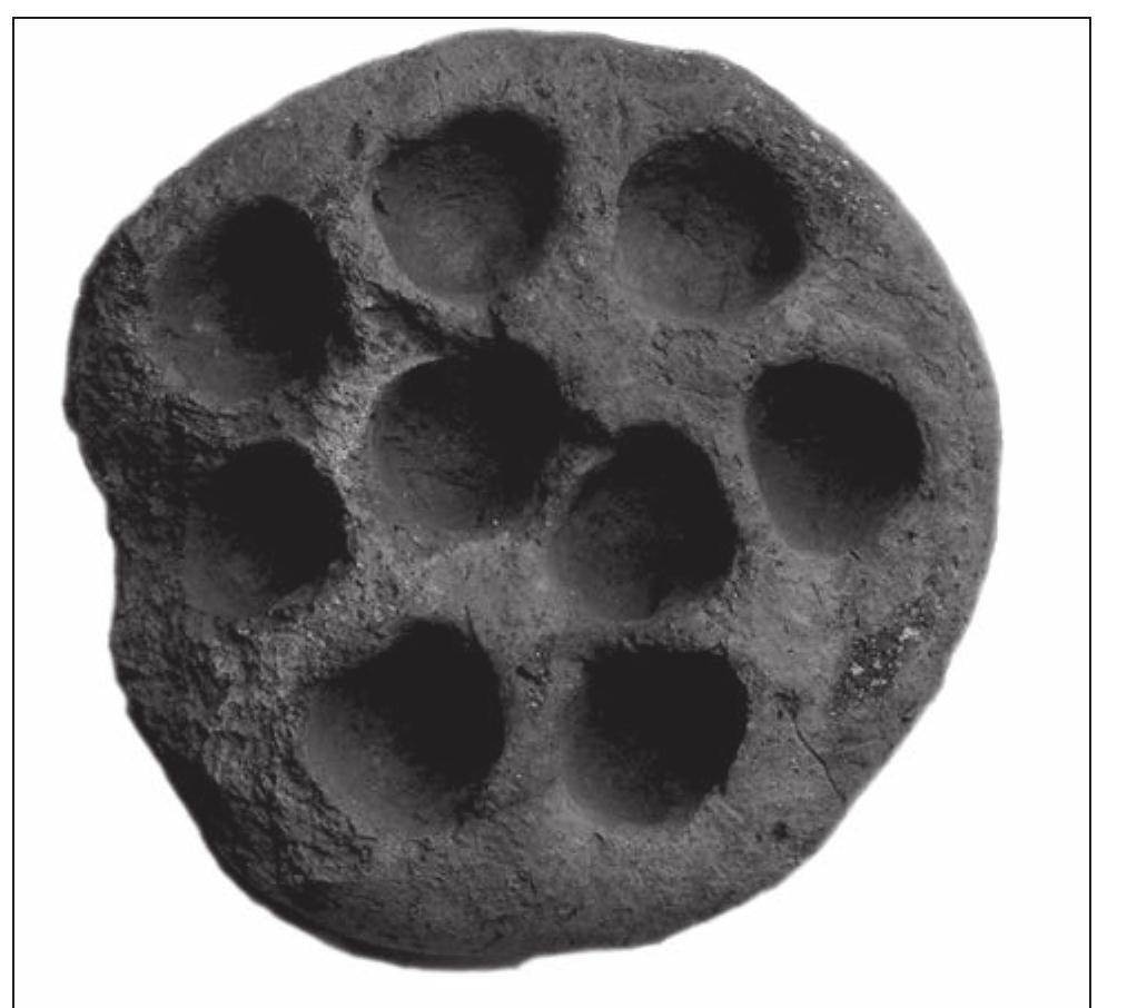 Figure 6. Grédek Nadbuzny, pow. hrubieszowski, casting mould for coin blanks, clay, Regional Museum in Zamos¢é (Muzeum Zamojskie), photo. J. Kusnierz (scale 1:1). 