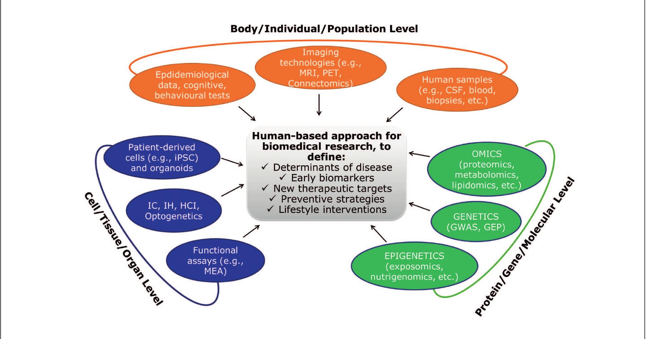 Fig. 1: Schematic view of how human-based models/tools, technological approaches and readouts can be applied in biomedical research to promote a systems biological understanding of disease etiopathology  Optogenetics involves the use of light to monitor cells in living tissue (typically neurons) that have been genetically modified to express light-sensitive ion channels. Abbreviations: CSF, cerebrospinal fluid; GEP, gene expression profiling; GWAS, genome wide association study; HCI, high content imaging; IC, immunocytochemistry; IH, immunohistochemistry; iPSC, induced pluripotent stem cells; MEA, multi- electrode array; MRI, magnetic resonance imaging; PET, positron emission tomography 