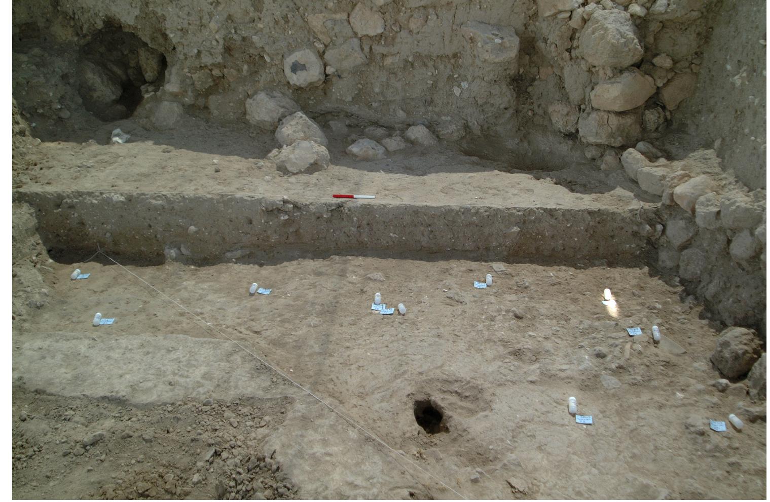 Figure | A locus dating to the Late Bronze Age in Area F at Tell es-Safi/Gath in Philistia. The small vials con- tain samples of sediments related to features from an archaeological surface, collected in order to characterize the surface and its anthropogenic activities. These sediments were analyzed in the field using Fourier transform infrared spectroscopy in order to identify the associated materials and from the environment of the deposition.  A primary context for dating is a feature ic primary features that can be dated (al of distinctive typology that contains shor  hat is directly related to the research question. Macroscop- must be well stratified) are, for example, a pottery vessel -lived charred materials, skeletons in articulation that have  preserved collagen, pyrotechnological installations such as ovens or hearths that have associated  charred short-lived materials, or silos wi ered as primary deposits, but ensuring t  h charred grains. Lenses of sediments may also be consid- his requires the use of additional microscopic techniques,  such as micromorphology, or material compositional analyses. The key issues here are (1) compar-  ing the supposed primary deposit with t  he layers above and below (controls) and (2) determining  if the components in the primary deposit are the products of a unique process (such as a burning  event or a layer of what was once anima  dung). This information can identify what we define as a  “dating assemblage.” For example, a locus that contains a cluster of charred seeds associated with burnt phytoliths, ash, and high phosphate concentrations is likely to be a primary dating assemblage resulting from a burning event in situ. A micromorphological analysis of the sediment textures may also help to differentiate between primary and secondary deposition and hence clarify if the given  layer had been redeposited from somewhere else. For specific examples of dating assemblages, see Toffolo et al. (2012) and Asscher et al. (2015).  