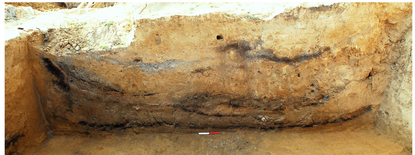 Figure 3 Early Iron Age pit at Qubur el-Walaydah showing a sequence of dark colored lenses containing charred materi- als, burned clay, aragonite formed at high temperatures, and short-lived charred materials. All these were associated with a well-defined assemblage of pottery. Thus, each lens constitutes a dating assemblage, even though the burning probably occurred elsewhere (Asscher et al. 2015). The samples for dating were taken from the dark lenses. 