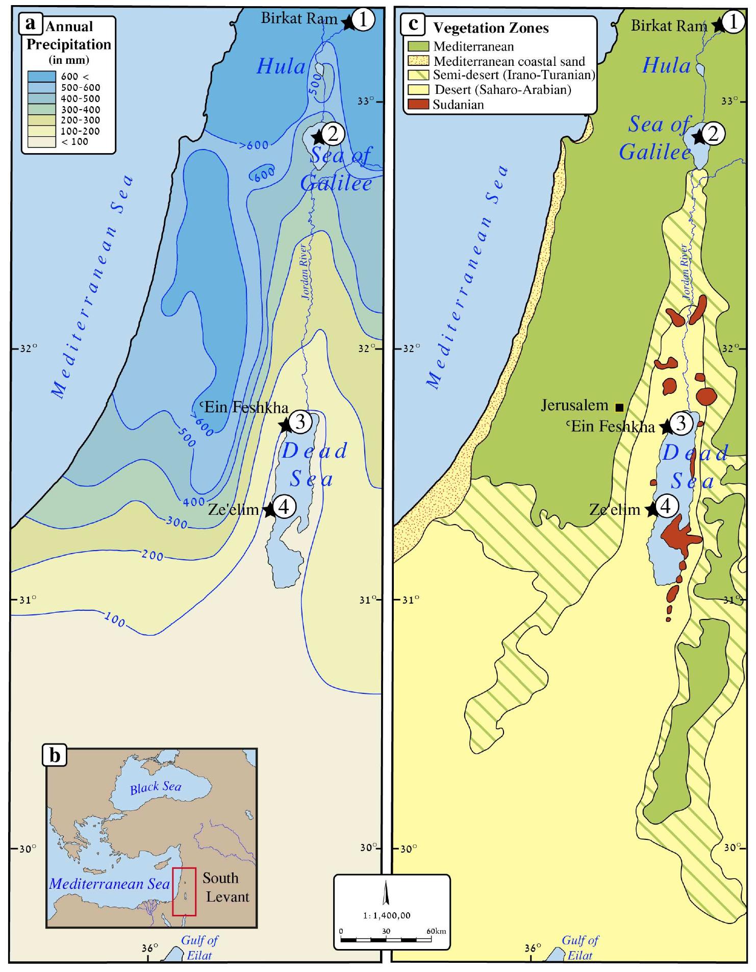 Figure | (a) Rainfall isohyets of the south Levantine region (after Srebro and Soffer 2011), with the location of the four fossil pollen records discussed in this paper: 1. Birkat-Ram (Schwab et al. 2004; Neumann et al. 2007b); 2. Sea of Galilee (Langgut et al. 2013; this study, Figure 3); 3. Ein Feshkha (Neumann et al. 2007a, 2009), and 4. Ze’elim Gully (Neumann et al. 2007a; Langgut et al. 2014a); (b) the position of the southern Levant in the Eastern Mediterranean; (c) phytogeographic zones. 