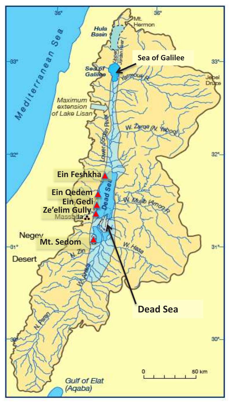 The Late Bronze Age is characterized by low settlement activity with a collapse of the entire set- tlement system towards the end of the period, when many sites were abandoned altogether. This collapse is largely contemporaneous with a drop in Dead Sea level and increasing aridity (Litt et  a  1 a c  ( a  a Hittite Empire in Ana 993; Kaniewski et al. ong the coastal regions of the Levant at the time of transition to the Iron Age (Stager 1995). A  ontemporary wave oO  Neumann et al. 2007;  . 2004; Langgut et a  . 2012; Langgut et al. 2014). This period features a decrease in olive cultivation in the Samaria and Judean highlands (Litt et al. 2012). Aridity also affected the northern regions of the Dead Sea watershed (Schwab et al. 2004; Langgut et al. 2013, 2014, 2015), as well as other large regions l over the eastern Mediterranean, where prominent civilizations had previously thrived, e.g. the olia, Cyprus, the Syrian coast, and Egypt (Ward and Joukowsky 1992; Drews  2010, 2013). Immigrants from the Aegean Basin—the Sea Peoples—settled  settlement, representing the (proto)-Israelites, characterizes the Samaria and  Judean Hills (Finkelstein 1995). This time period saw an increase in humidity in the Dead Sea area  Litt et al. 2012; Langgut et al. 2014) as well as in northern Israel (Schwab et . 2013). 