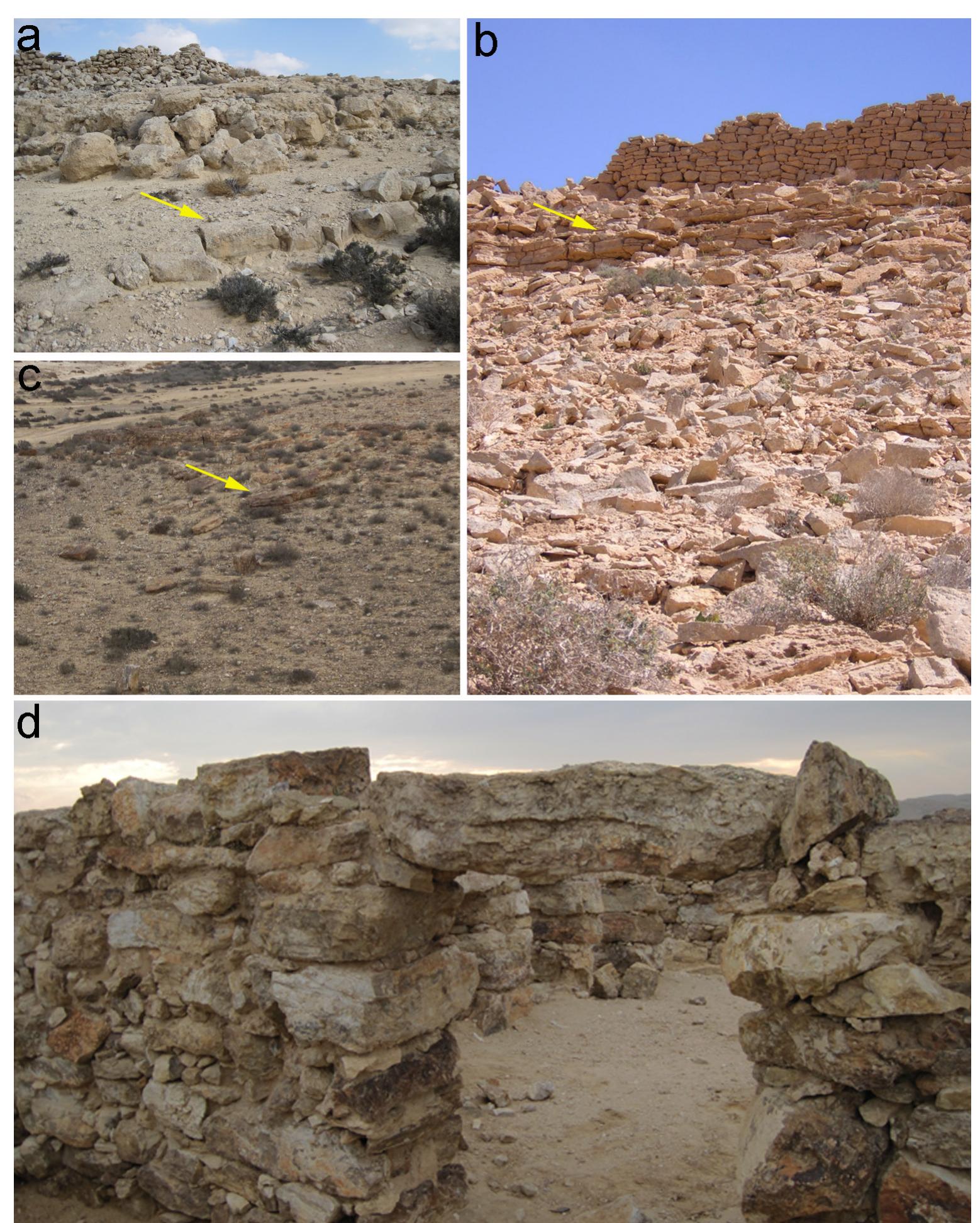 Figure 4 Construction materials in relation to their availability and accessibility: (a) well-bedded Netzer limestone showing natural weathering into blocks (arrow); in the background the site of Nahal Zena “fortress”; (b) well- bedded Netzer limestone (arrow) in the vicinity of Nahal Aqrab “fortress”; note the weathered limestone blocks along the slope; (c) weathered blocks of flint of the Mishash Formation along the slope adjacent to Atar Haroa; (d) well-preserved house at Atar Haroa constructed of local flint blocks. 