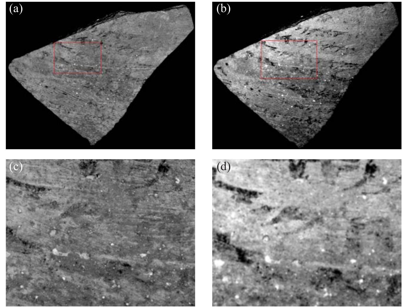 Figure 2 Ostracon No. 3 from Horvat Uza: (a) a full color image (~400-700 nm) converted to gray- scale; (b) an image with enhanced readability (700-720 nm); (c, d) zoom-in on the area marked in red in images (a, b), respectively.  Applying the MS imaging system was beneficial in several cases (Sober et al. 2014; Faigenbaum et al. 2015 and in press). For example, Figure 2 compares the standard and optimized MS images of Inscription No. 3 from Horvat Uza. In the enlarged parts of the images, one can see several charac- ters that were absent or vague in the former, while present and legible in the latter. 