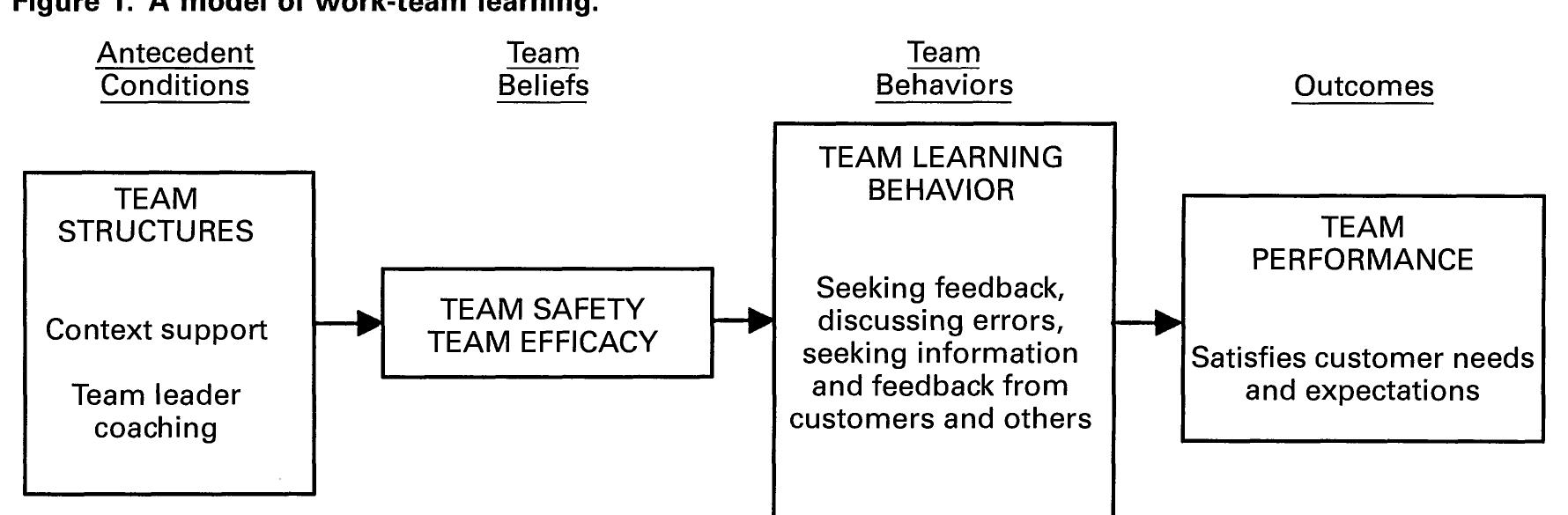(PDF) Psychological Safety and Learning Behavior in Work Teams