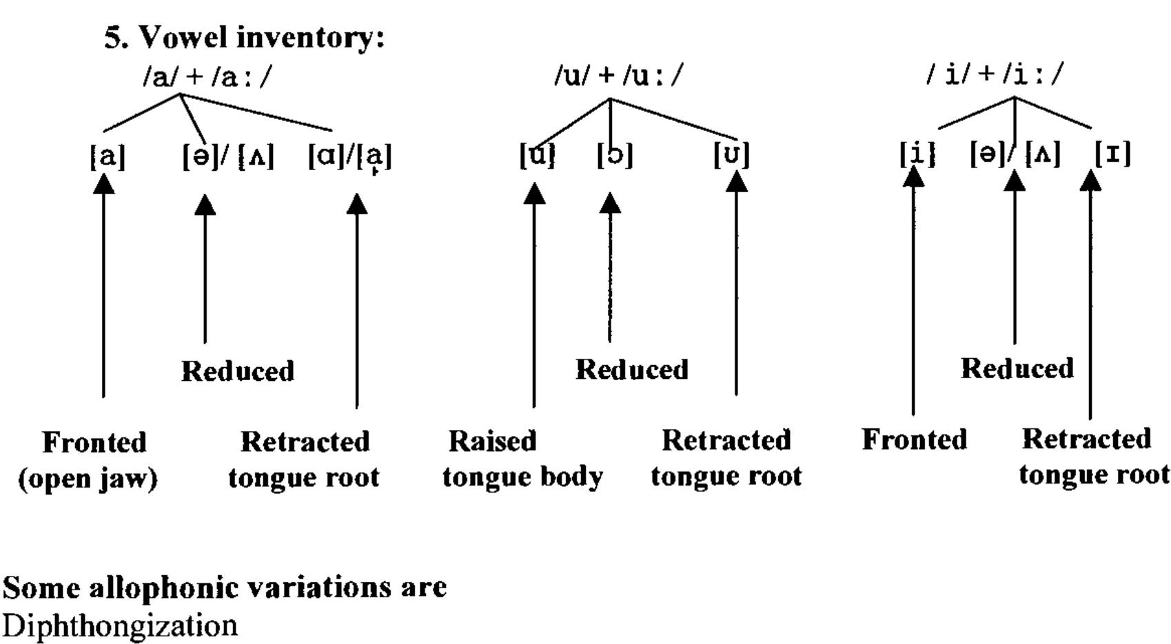 diphthongs and nasalized vowels. 